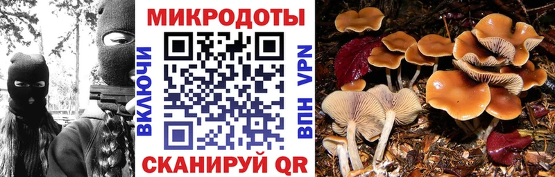 Галлюциногенные грибы мицелий  даркнет сайт  Новый Оскол 
